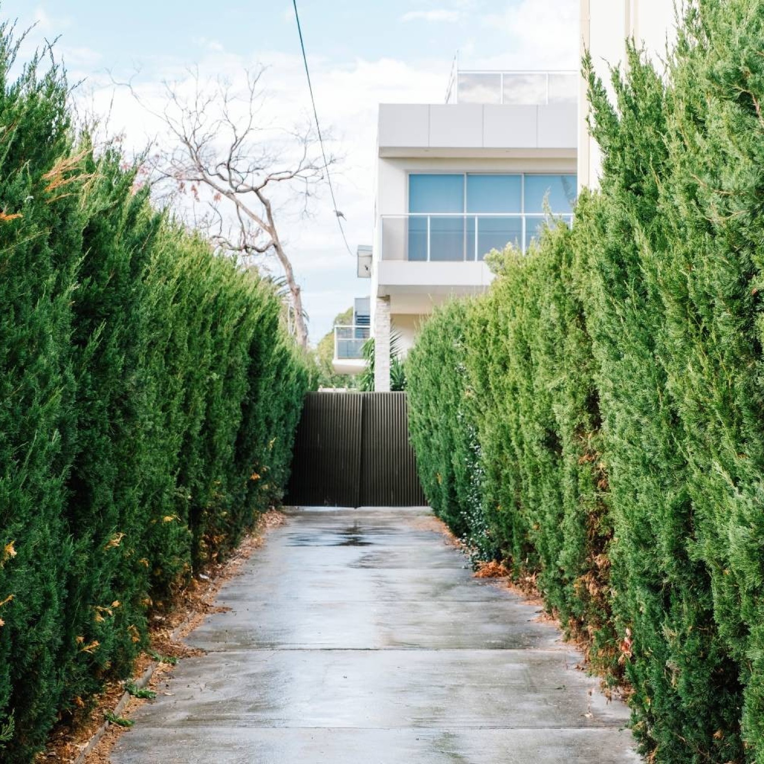 Eskişehir Çim Çit