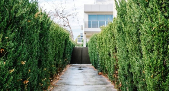 Eskişehir Çim Çit